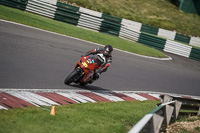 cadwell-no-limits-trackday;cadwell-park;cadwell-park-photographs;cadwell-trackday-photographs;enduro-digital-images;event-digital-images;eventdigitalimages;no-limits-trackdays;peter-wileman-photography;racing-digital-images;trackday-digital-images;trackday-photos